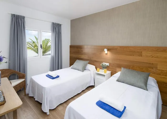 Olivina 1 By Willa *